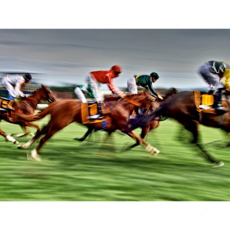 CALVENDO Puzzle CALVENDO Puzzle Jules Пазл CALVENDO Пазл Жюль