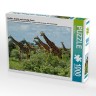 CALVENDO Puzzle CALVENDO Puzzle Giraffen. Grazios und anmutig. Kenia Пазл CALVENDO Пазл жирафы. Изящный и грациозный. Кения