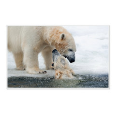 CALVENDO Puzzle CALVENDO Puzzle Emotionale Momente: Der Eisbar. \/ CH-Version Пазл CALVENDO Пазл Эмоциональные моменты: ледяной бар. \/ версия CH