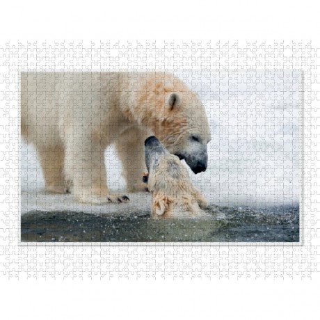 CALVENDO Puzzle CALVENDO Puzzle Emotionale Momente: Der Eisbar. \/ CH-Version Пазл CALVENDO Пазл Эмоциональные моменты: ледяной бар. \/ версия CH