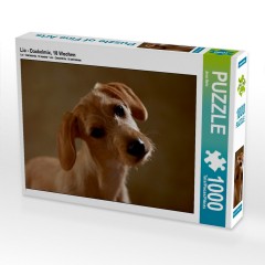 CALVENDO Puzzle CALVENDO Puzzle Lio Пазл CALVENDO Puzzle Лев