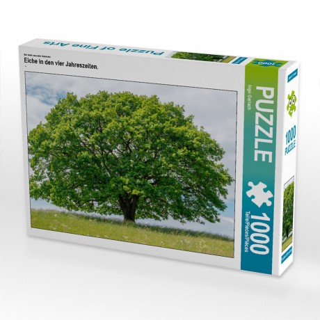 CALVENDO Puzzle CALVENDO Puzzle Eiche in den vier Jahreszeiten. Пазл CALVENDO Пазл Дуб в четыре сезона.