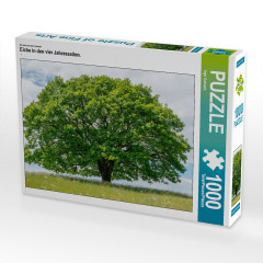 CALVENDO Puzzle CALVENDO Puzzle Eiche in den vier Jahreszeiten. Пазл CALVENDO Пазл Дуб в четыре сезона.