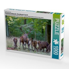 CALVENDO Puzzle CALVENDO Puzzle Emotionale Momente: Hirschbrunft. Part III. Пазл CALVENDO Пазл Эмоциональные моменты: Оленья гонка. Часть 3