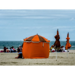 CALVENDO Puzzle CALVENDO Puzzle Am Strand Пазл CALVENDO Пазл На пляже