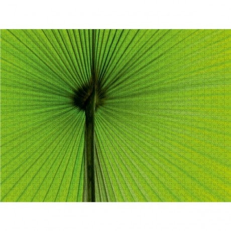 CALVENDO Puzzle CALVENDO Puzzle Palme Пазл CALVENDO Пазл пальма