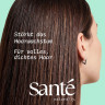 SANTE Grow Mode On Shampoo, 250 ml, Санте Шампунь Grow Mode On для ухода за волосами и кожей головы, 250 мл