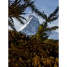 CALVENDO Puzzle CALVENDO Puzzle Horu : Herbststimmung am Matterhorn Пазл CALVENDO Puzzle Horu : Осеннее настроение на Маттерхорне
