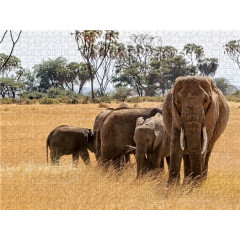 CALVENDO Puzzle CALVENDO Puzzle Elefanten....unterwegs in der Savanne Пазл CALVENDO Puzzle Elephants....по дороге в саванне