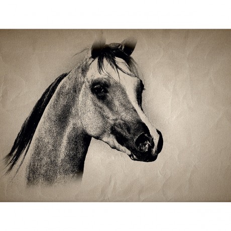 CALVENDO Puzzle CALVENDO Puzzle Um das Pferd Пазл CALVENDO Пазл Про лошадь