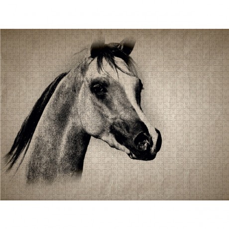 CALVENDO Puzzle CALVENDO Puzzle Um das Pferd Пазл CALVENDO Пазл Про лошадь
