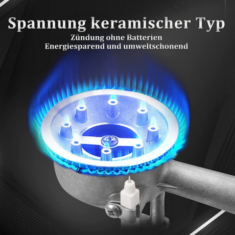 HOMELUX HOMELUX Gaskocher Campingkocher 2,0 KW mit Gaskartuschen und Tragekoffer, (Set, 8-St., Grill Camper im Outdoor Camping), 2,0 KW Газовая плита HOMELUX походная 2,0 кВт с газовыми баллонами и футляром для переноски (набор, 8 шт., кемпер-гриль в кем