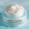 Peter Thomas Roth Water Drench™ Hyaluronic Cloud Cream Hydrating Moisturizer Water Drench™ Hyaluronic Cloud Cream Увлажняющий увлажняющий крем