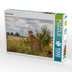 CALVENDO Puzzle CALVENDO Puzzle Stolzer Gepard Пазл CALVENDO Puzzle Гордый гепард