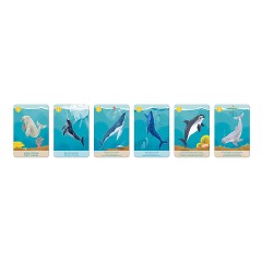 Janod -WWF Kombinationsspiel Tiergattungen 7 Motive -Комбинация видов диких животных WWF