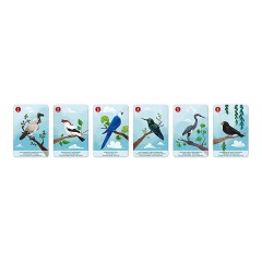 Janod -WWF Kombinationsspiel Tiergattungen 7 Motive -Комбинация видов диких животных WWF