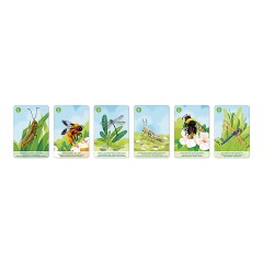 Janod -WWF Kombinationsspiel Tiergattungen 7 Motive -Комбинация видов диких животных WWF