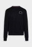 Tommy Hilfiger SHADOW UNISEX Sweatshirt desert sky SHADOW UNISEX Толстовка небо пустыни
