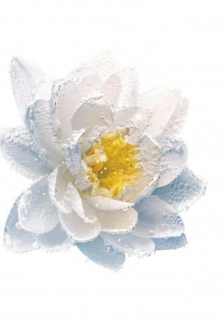 DIOR LE LAIT DEMAQUILLANT REINIGUNGSMILCH Make-up-Entferner transparent LE LAIT DEMAQUILLANT ОЧИЩАЮЩЕЕ МОЛОЧКО средство для снятия макияжа