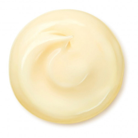Shiseido Wrinkle Smoothing Cream Enriched  Обогащенный крем для разглаживания морщин