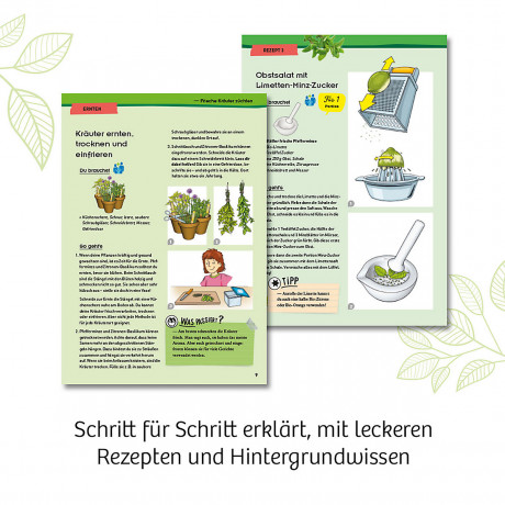 Kosmos Krautergarten Травяной сад