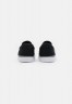 Nike SB CHRON 2 UNISEX Sneaker low black/white CHRON 2 UNISEX Низкие кроссовки женские черно-белый
