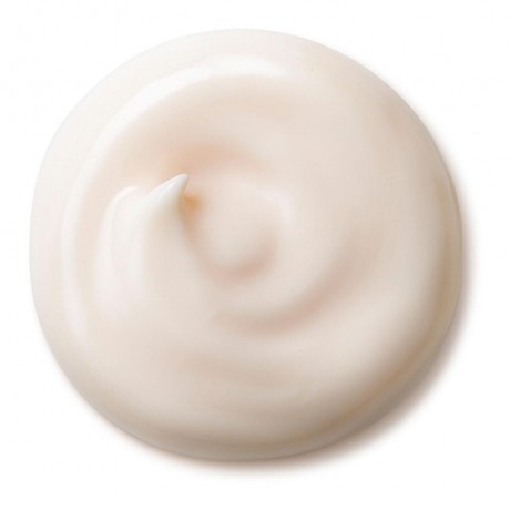 Shiseido Total Protective Cream SPF 20  Тотальный защитный крем SPF 20