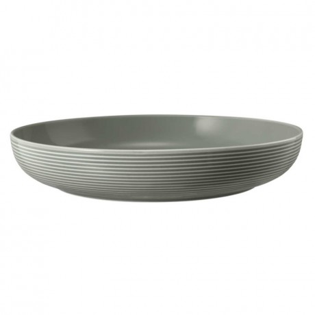 Seltmann Weiden Seltmann Weiden Beat Perlgrau Foodbowl Schale 28 cm Seltmann Weiden Beat жемчужно-серая миска 28 см