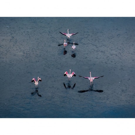 CALVENDO Puzzle CALVENDO Puzzle Emotionale Momente: Der Lake Elementaita in Kenia. Пазл CALVENDO Пазл Эмоциональные моменты: Озеро Элементайта в Кении.