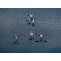 CALVENDO Puzzle CALVENDO Puzzle Emotionale Momente: Der Lake Elementaita in Kenia. Пазл CALVENDO Пазл Эмоциональные моменты: Озеро Элементайта в Кении.