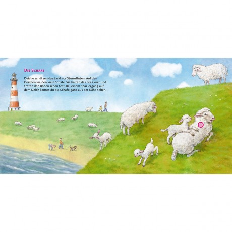 Carlsen Verlag Hor mal: Das Meer Слушай: море