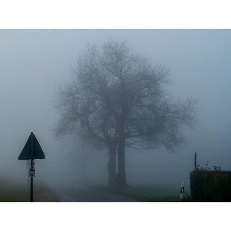 CALVENDO Puzzle CALVENDO Puzzle Nebelstimmung zwischen Sottorf und Sieversen Пазл CALVENDO Puzzle Туманная атмосфера между Зотторфом и Зиверсеном