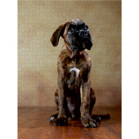 CALVENDO Puzzle CALVENDO Puzzle Gonzo Пазл CALVENDO Puzzle Гонзо