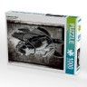 CALVENDO Puzzle CALVENDO Puzzle Arabisches Pferd Пазл CALVENDO Пазл Арабская лошадь