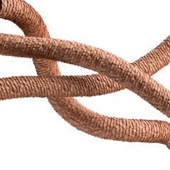 Schwarzkopf Professional Treatment  лечение