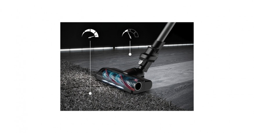 Rowenta Rowenta X-Force Flex 9.60 Animal RH2078, Stielstaubsauger schwarz/rot schwarz/rot Rowenta X-Force Flex 9.60 Animal RH2078, пылесос черный/красный