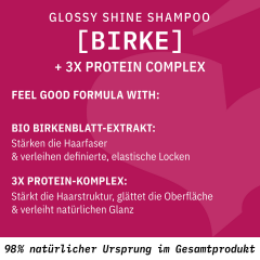 SANTE Glossy Shine Shampoo, 950 ml, Санте Шампунь Glossy Shine для тусклых волос, с берёзовым экстрактом и комплексом протеинов, 950 мл