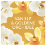 Weichspuler Konzentrat Goldene Orchidee XXL Grobe 82WL, Кондиционер для белья Golden Orchid, 82 загрузки