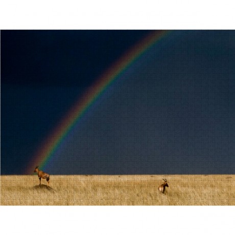 CALVENDO Puzzle CALVENDO Puzzle Topi Gazell Пазл CALVENDO Пазл Topi Gazell