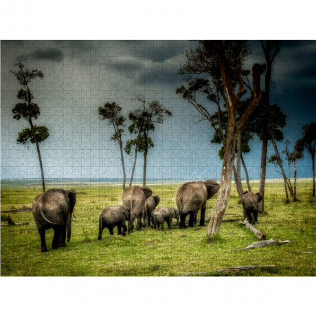 CALVENDO Puzzle CALVENDO Puzzle Auf der Bahn der Elefanten Пазл CALVENDO Puzzle По тропе слонов