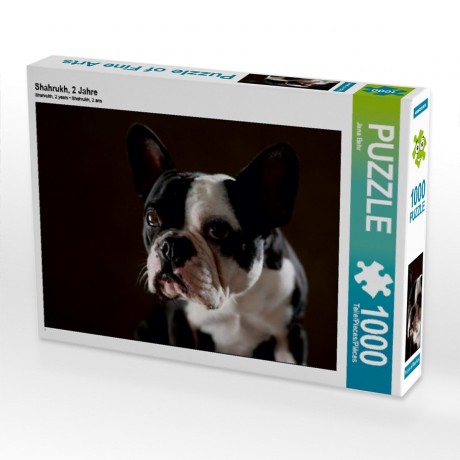 CALVENDO Puzzle CALVENDO Puzzle Shahrukh Пазл CALVENDO Пазл Шахрукх