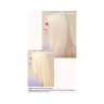 Aveda Blonde Revival™ Purple Toning Conditioner  Blonde Revival™ Фиолетовый Тонизирующий Кондиционер