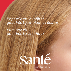 SANTE Bond with Me Shampoo, 950 ml, Санте Восстанавливающий шампунь Bond with Me для повреждённых волос, комплекс EverBond и глицерин, 950 мл