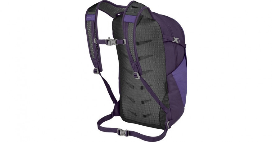 Osprey Osprey Daylite Plus, Rucksack violett, 20 Liter violett Osprey Daylite Plus, рюкзак фиолетовый, 20 литров