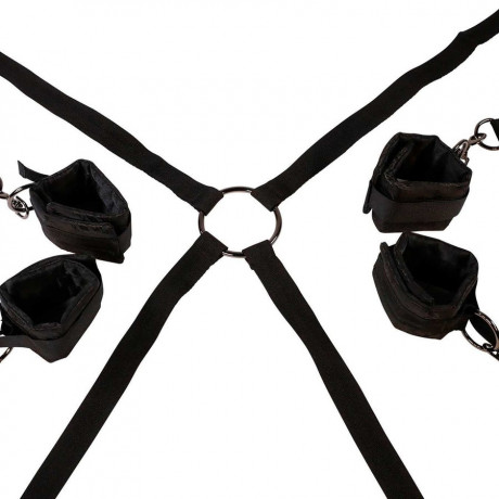 Amorelie Arrest me  Арестуйте меня