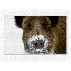 CALVENDO Puzzle CALVENDO Puzzle Emotional Moment: Die Eber. UK-Version Пазл CALVENDO Пазл Эмоциональный момент: Кабаны. версия для Великобритании