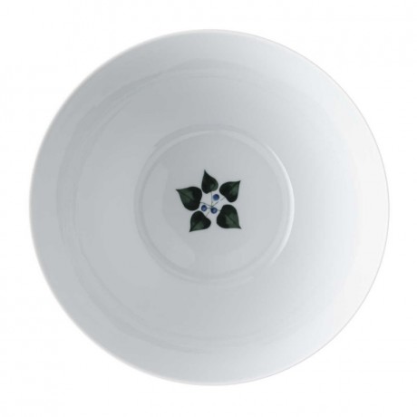 Rosenthal Rosenthal Magic Garden Foliage Schussel d: 28 cm / 4,50 L Чаша Rosenthal Magic Garden Foliage D: 28 см / 4,50 л