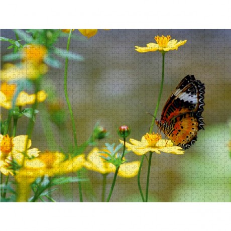 CALVENDO Puzzle CALVENDO Puzzle Am Boden Пазл CALVENDO Puzzle На земле