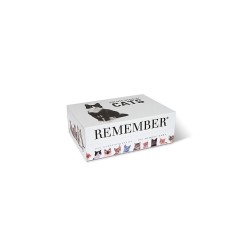 Remember Gedachtnisspiel  44 Cats in der Magnetbox