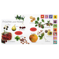 Dorling Kindersley Verlag Erstes Lernen. In der Natur первое обучение. На природе